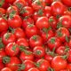 Nutritional value of tomatoes